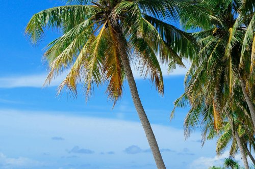 A Heavenly Escape to Potipot Island in Zambales