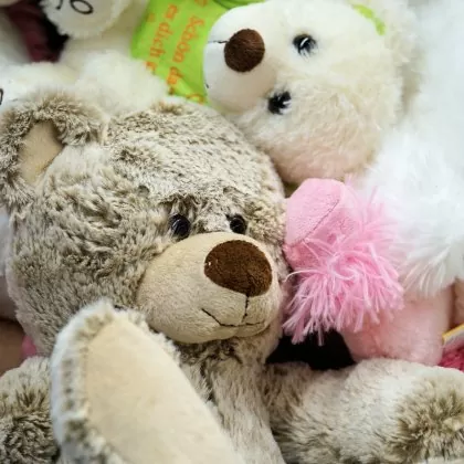 Toys & Entertainment