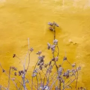 Double AA Online Store